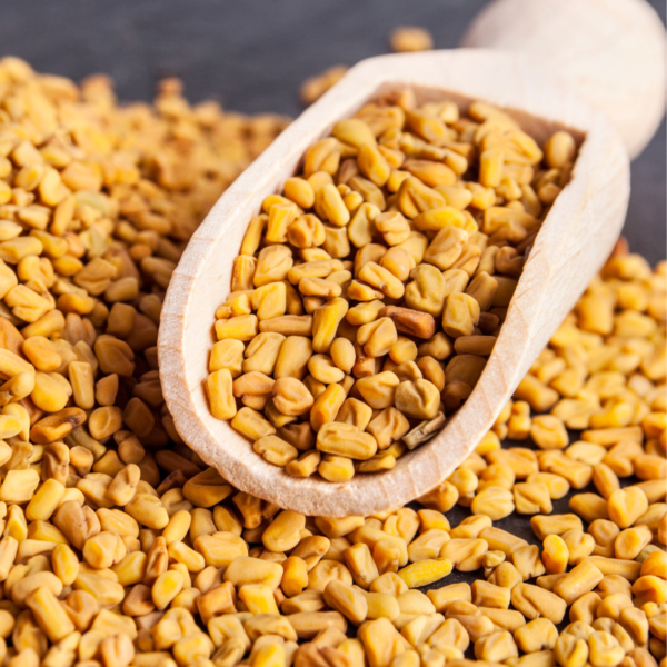 Indian Fenugreek Seeds - Image 3