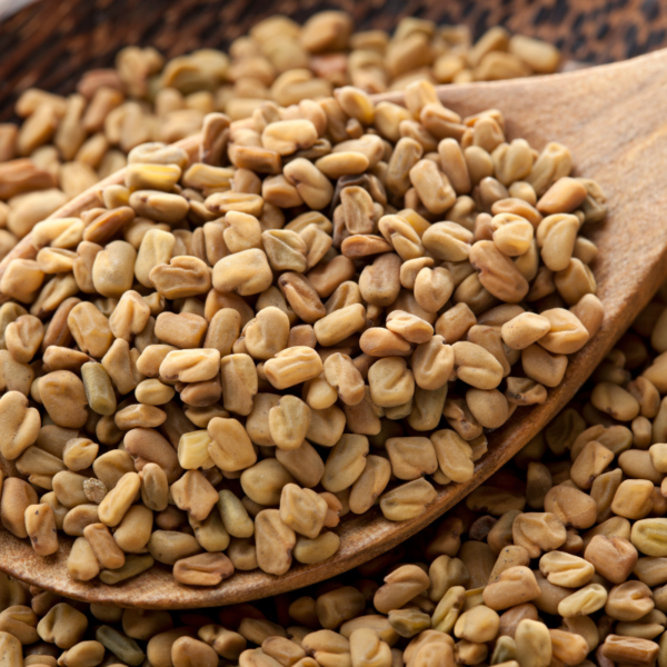 Indian Fenugreek Seeds - Image 2