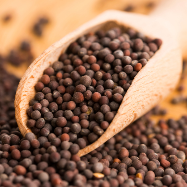 Yellow and black Mustard Seeds - Image 4