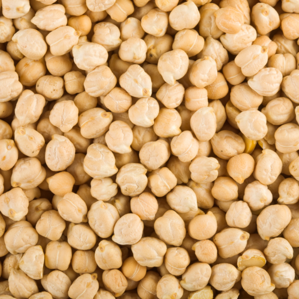 Natural White Chickpeas ( Kabuli Chana )