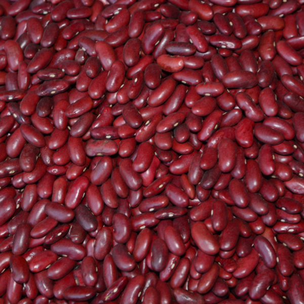 Red Kidney Beans | Rajma