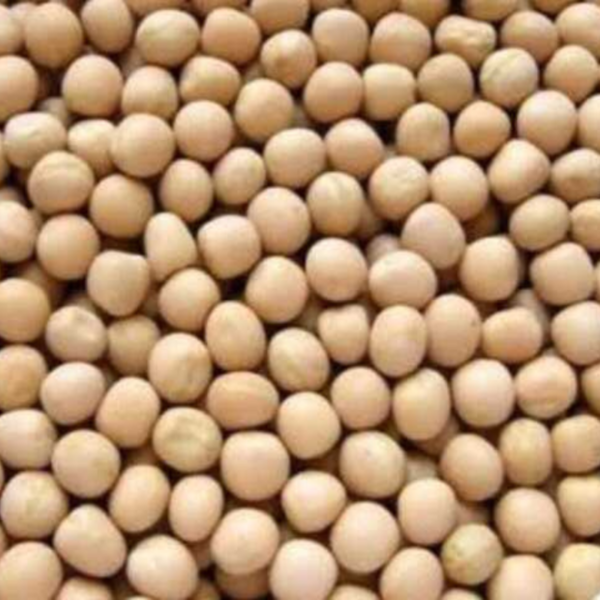 Organic White Peas - Image 4