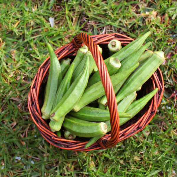 Fresh Indian Okra - Image 2