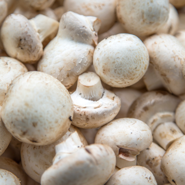 Fresh Mushrooms - Image 3