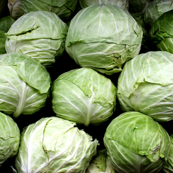 Fresh Organic Cabbage - Image 3