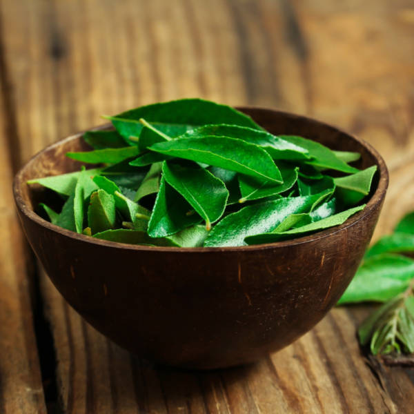 Fresh Curry Leaves - Image 2