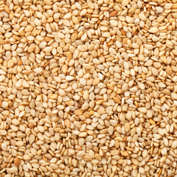 Premium Quality Natural Sesame Seeds