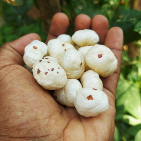Indian Fox Nuts ( Makhana )