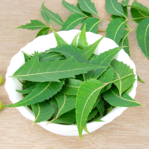 Indian Neem leaves - Image 4